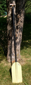 Guidestick 