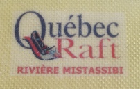 Embedded logo